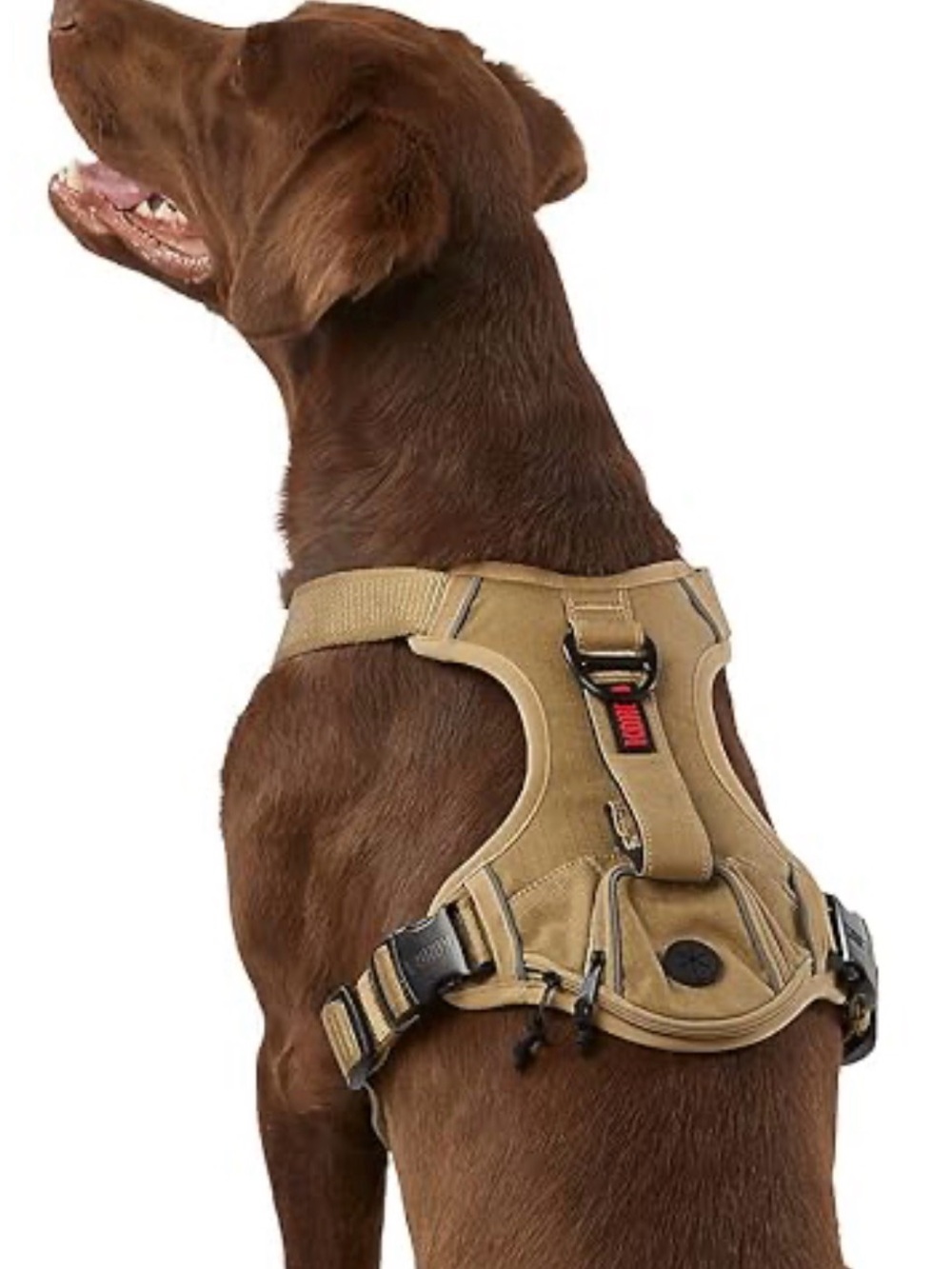 KONG Tactical Dog Harness with Storage Pocket - Medium - Tan